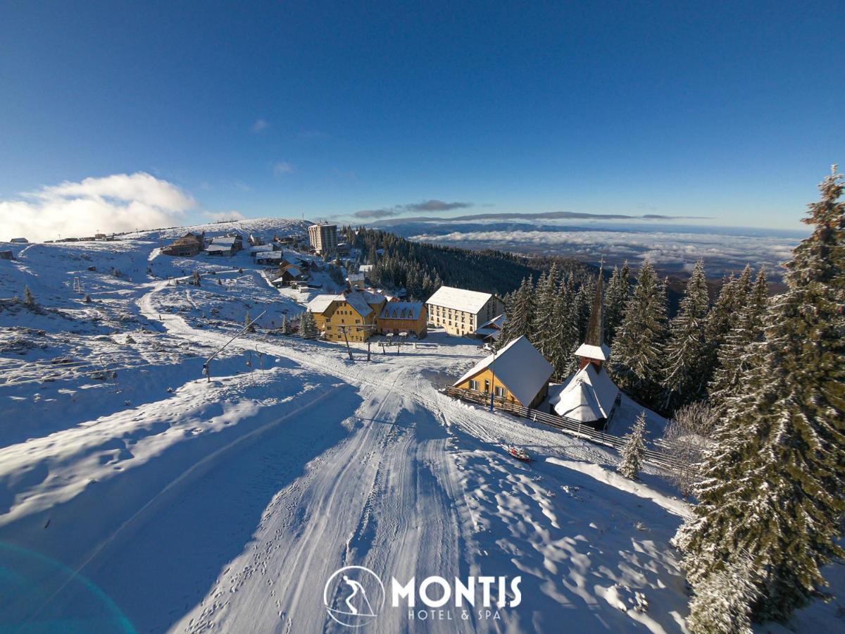 Montis &